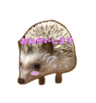 ハリネズミのたわし（個別スタンプ：8）