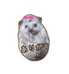 ハリネズミのたわし（個別スタンプ：9）