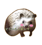 ハリネズミのたわし（個別スタンプ：10）