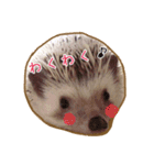 ハリネズミのたわし（個別スタンプ：13）