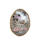 ハリネズミのたわし（個別スタンプ：18）