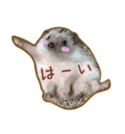 ハリネズミのたわし（個別スタンプ：20）