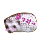 ハリネズミのたわし（個別スタンプ：24）