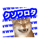モンモン the cat（個別スタンプ：12）