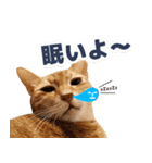 モンモン the cat（個別スタンプ：21）