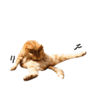 モンモン the cat（個別スタンプ：24）