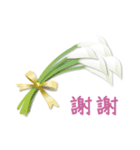 ありがとう花が咲くよ 中国語版 改訂版（個別スタンプ：7）