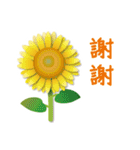 ありがとう花が咲くよ 中国語版 改訂版（個別スタンプ：14）