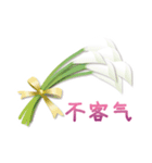 ありがとう花が咲くよ 中国語版 改訂版（個別スタンプ：34）