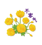 ありがとう花が咲くよ 中国語版 改訂版（個別スタンプ：35）