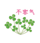 ありがとう花が咲くよ 中国語版 改訂版（個別スタンプ：36）