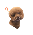 Queen of beauty MEATBALL（個別スタンプ：2）
