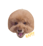 Queen of beauty MEATBALL（個別スタンプ：4）