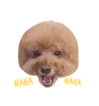 Queen of beauty MEATBALL（個別スタンプ：5）
