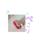RIKUICHIKA（個別スタンプ：1）