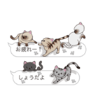 【しょう】猫だらけの吹き出し（個別スタンプ：4）