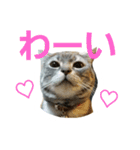 ショーちゃんの日常（個別スタンプ：23）