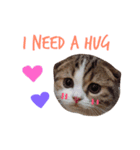 Jarvis The cat（個別スタンプ：2）