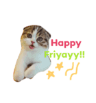 Jarvis The cat（個別スタンプ：4）