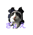 びびちゃんと平次君（個別スタンプ：2）