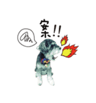 egg egg dog（個別スタンプ：14）