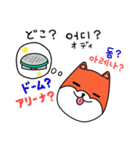 笑う犬シバ～韓国語ライブ～（個別スタンプ：4）