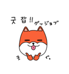 笑う犬シバ～韓国語ライブ～（個別スタンプ：9）