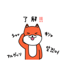 笑う犬シバ～韓国語ライブ～（個別スタンプ：33）