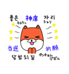 笑う犬シバ～韓国語ライブ～（個別スタンプ：35）