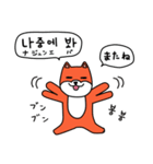 笑う犬シバ～韓国語ライブ～（個別スタンプ：40）