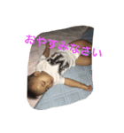 龍ちゃんスタンプ（個別スタンプ：6）