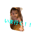 龍ちゃんスタンプ（個別スタンプ：10）