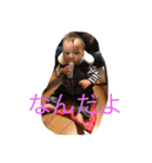 龍ちゃんスタンプ（個別スタンプ：11）