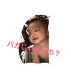 龍ちゃんスタンプ（個別スタンプ：16）