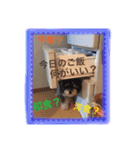 ポッキ〜くん第2弾（個別スタンプ：8）