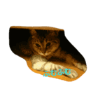 Sola-neko（個別スタンプ：9）