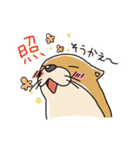 時々、土佐弁かわうそ。（個別スタンプ：1）