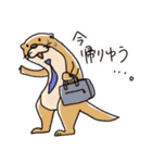 時々、土佐弁かわうそ。（個別スタンプ：4）
