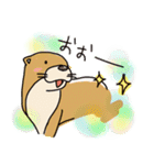 時々、土佐弁かわうそ。（個別スタンプ：13）
