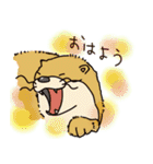 時々、土佐弁かわうそ。（個別スタンプ：15）