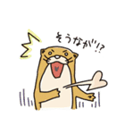 時々、土佐弁かわうそ。（個別スタンプ：18）