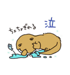時々、土佐弁かわうそ。（個別スタンプ：19）