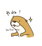 時々、土佐弁かわうそ。（個別スタンプ：27）