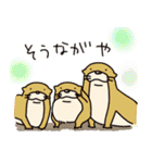 時々、土佐弁かわうそ。（個別スタンプ：29）