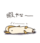 時々、土佐弁かわうそ。（個別スタンプ：30）