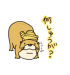 時々、土佐弁かわうそ。（個別スタンプ：35）