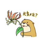 時々、土佐弁かわうそ。（個別スタンプ：36）