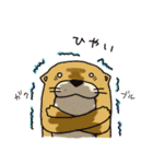 時々、土佐弁かわうそ。（個別スタンプ：39）