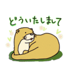 時々、土佐弁かわうそ。（個別スタンプ：40）