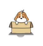 Shion of the dog（個別スタンプ：25）